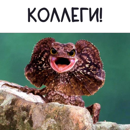 🤬 Стикер «Ящерица» для Telegram