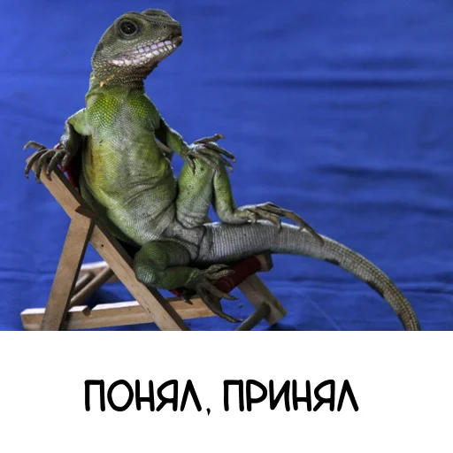 😎 Стикер «Ящерица» для Telegram