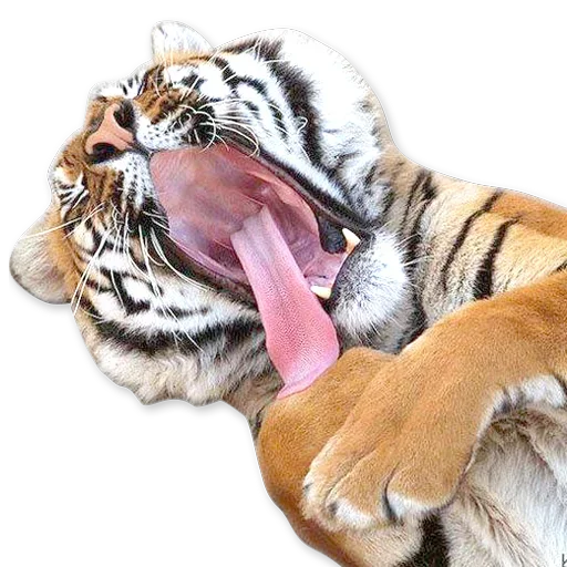 🐯 Стикер «Зевота» для Telegram