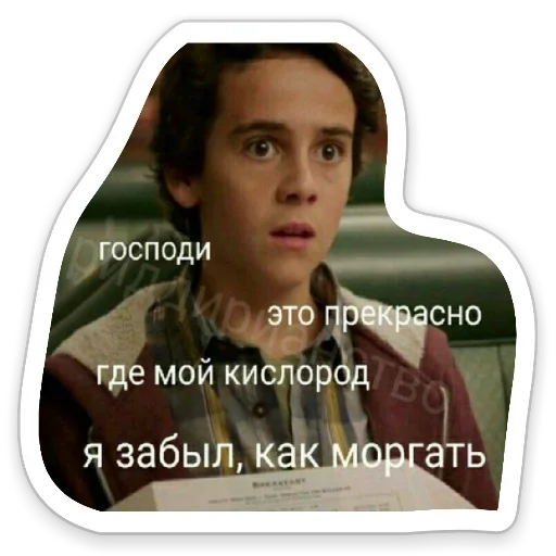 🤪 Стикер «Я же Леди» для Telegram