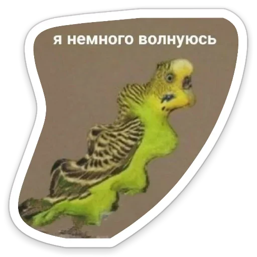 😕 Стикер «Я же Леди» для Telegram