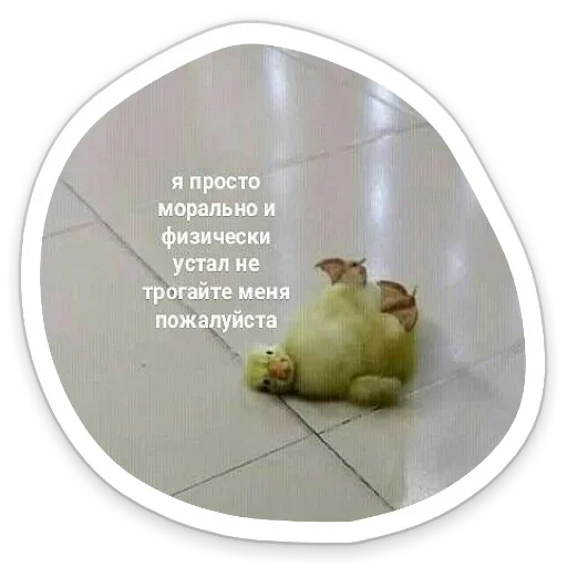 😜 Стикер «Я же Леди» для Telegram