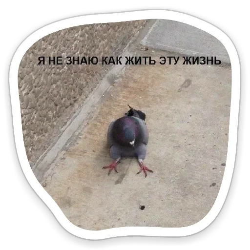 😊 Стикер «Я же Леди» для Telegram