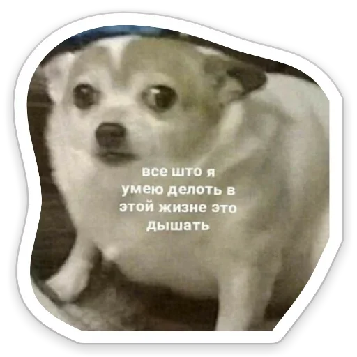 😜 Стикер «Я же Леди» для Telegram