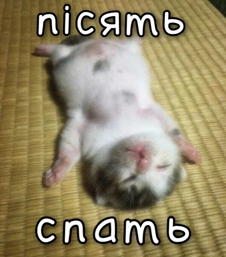 😴 Стикер «ЙБР» для Telegram