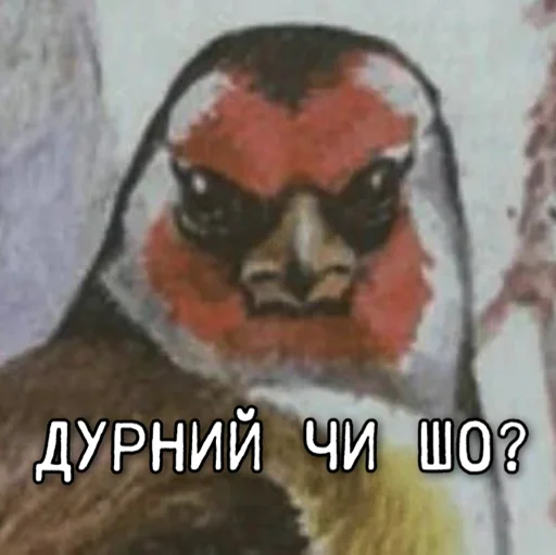 🤔 Стикер «ЙБР» для Telegram