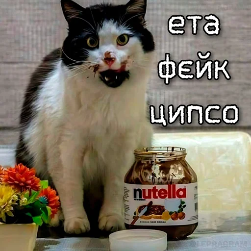 🙅 Стикер «ЙБР» для Telegram