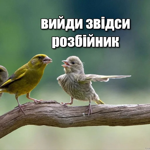👉 Стикер «ЙБР» для Telegram