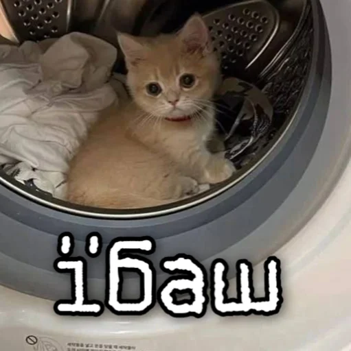 😭 Стикер «ЙБР» для Telegram