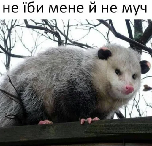 🤕 Стикер «ЙБР» для Telegram