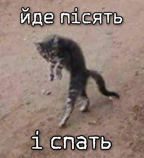 🥱 Стикер «ЙБР» для Telegram