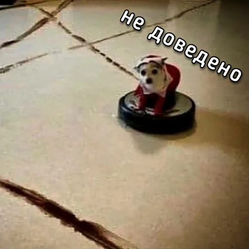 🙅‍♂ Стикер «ЙБР» для Telegram