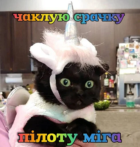 💫 Стикер «ЙБР» для Telegram