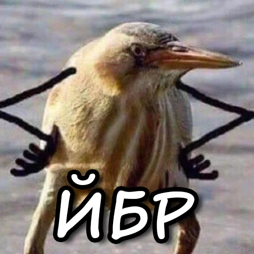 Стикерпак ЙБР для Telegram