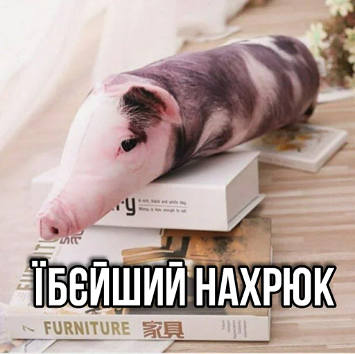 🐽 Стикер «ЙБР» для Telegram