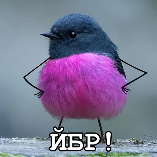 🤬 Стикер «ЙБР» для Telegram