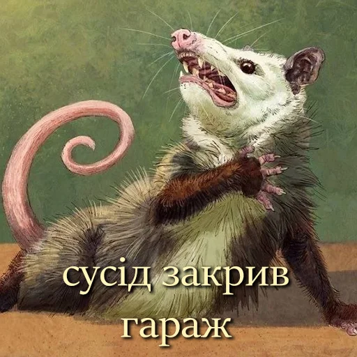 😨 Стикер «ЙБР» для Telegram