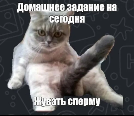 🌟 Стикер «умирание» для Telegram