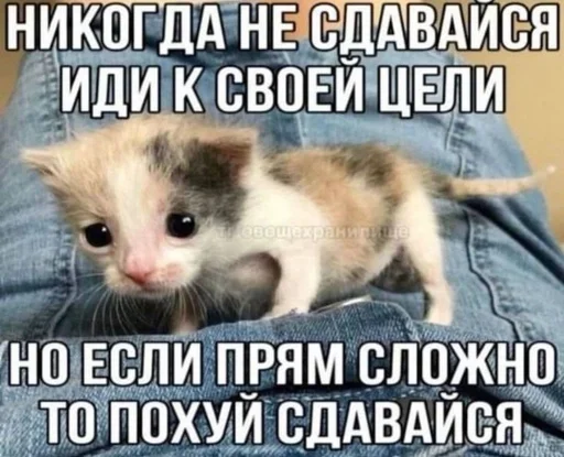 🌟 Стикер «умирание» для Telegram