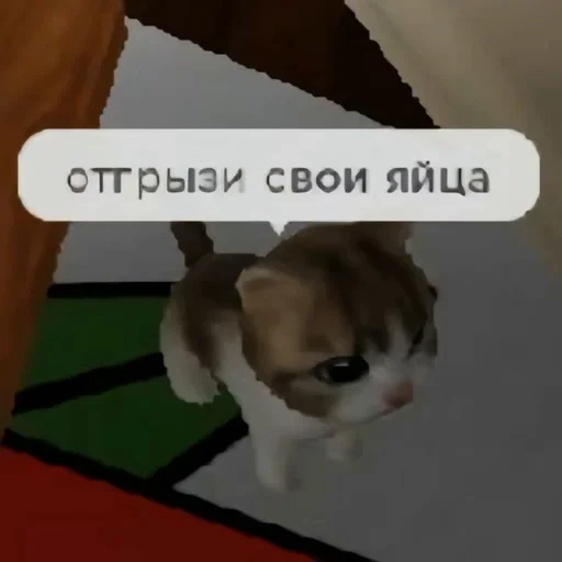 🤬 Стикер «умирание» для Telegram