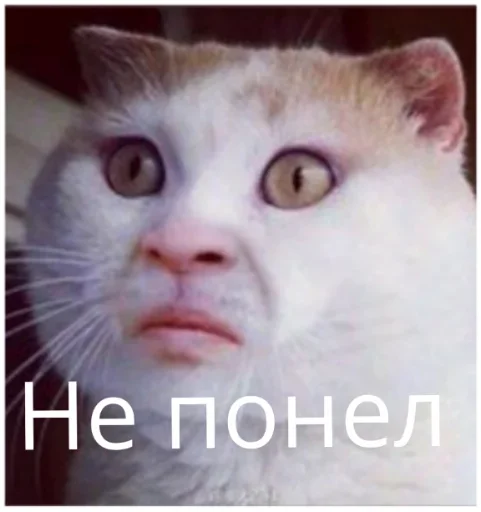🤔 Стикер «уебенкс» для Telegram