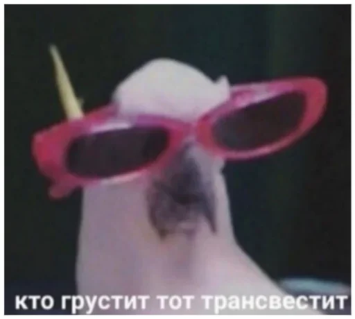 🤡 Стикер «уебенкс» для Telegram