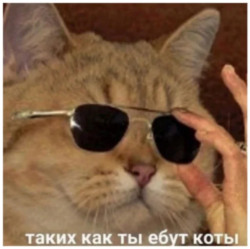 🤙 Стикер «уебенкс» для Telegram