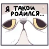 Стикер 6 Йогурт