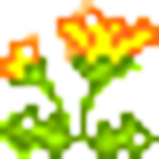 🌼 Эмодзи «Yellow Orange» для Telegram