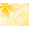 🟡 Эмодзи «Yellow Dividers» для Telegram