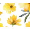🟡 Эмодзи «Yellow Dividers» для Telegram