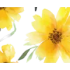 🟡 Эмодзи «Yellow Dividers» для Telegram