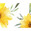 🟡 Эмодзи «Yellow Dividers» для Telegram