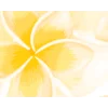 🟡 Эмодзи «Yellow Dividers» для Telegram