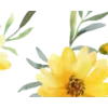 🟡 Эмодзи «Yellow Dividers» для Telegram