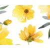 🟡 Эмодзи «Yellow Dividers» для Telegram