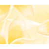🟡 Эмодзи «Yellow Dividers» для Telegram