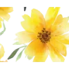 🟡 Эмодзи «Yellow Dividers» для Telegram