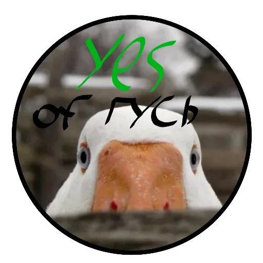 🥳 Стикер «Yes» для Telegram