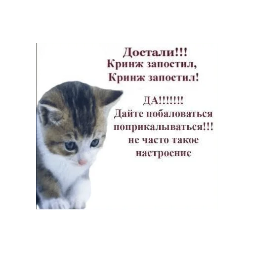 👹 Стикер «фуримама» для Telegram