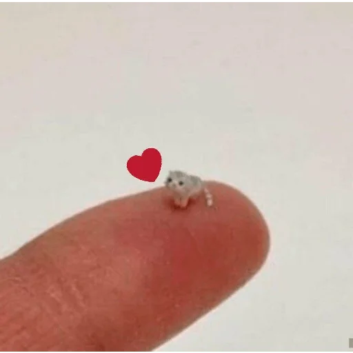💗 Стикер «фуримама» для Telegram