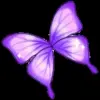 Стикер 56 Violet #color #violet #purple
