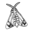 Стикер 5 𓆩 Dungeon