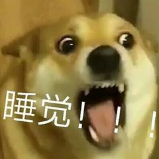 😁 Стикер «yishanyishanliangjingjing» для Telegram