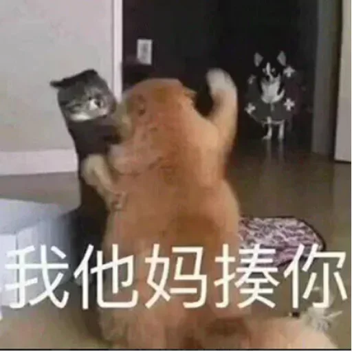 👽 Стикер «yishanyishanliangjingjing» для Telegram