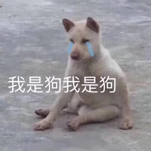 👾 Стикер «yishanyishanliangjingjing» для Telegram