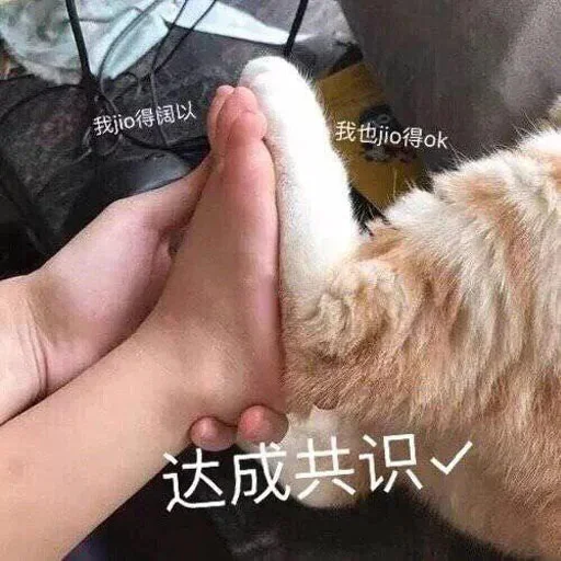 🙀 Стикер «yishanyishanliangjingjing» для Telegram