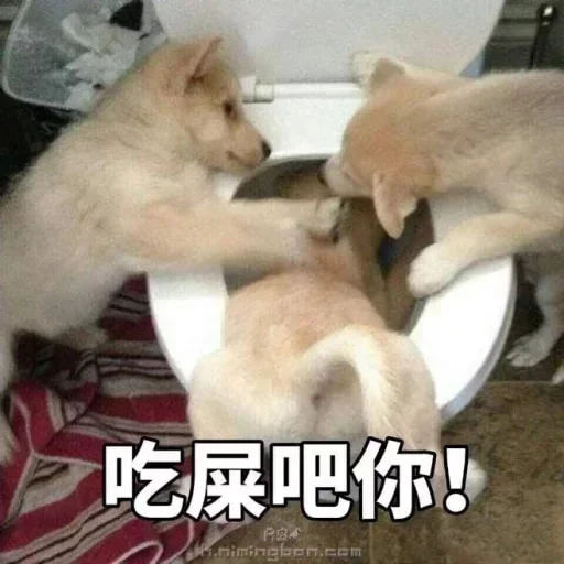 🐕 Стикер «yishanyishanliangjingjing» для Telegram