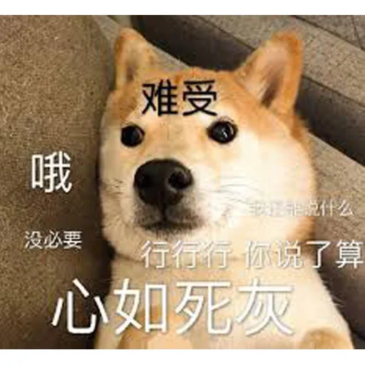 🐕 Стикер «yishanyishanliangjingjing» для Telegram