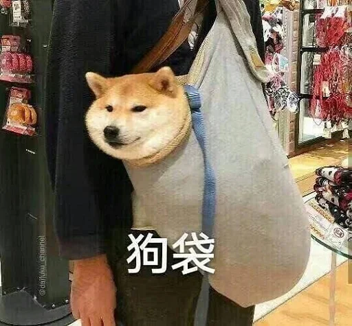🐕 Стикер «yishanyishanliangjingjing» для Telegram